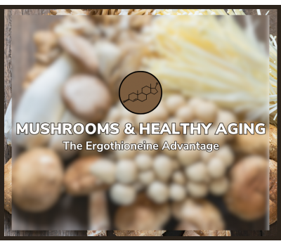 Mushrooms and Healthy Aging